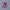 Asics Superblast 2 Bold Magenta Pink photo 1