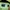Scotch & Soda Casual Sweatshirt Pria green photo 3