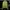 Scotch & Soda Casual Sweatshirt Pria Green