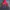 The North Face Y2K Sportswear Windbreaker Pria gray red photo 4