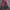 The North Face Y2K Sportswear Windbreaker Pria gray red photo 2