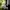 Adidas Casual Hoody Pria green photo 6