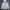 Guess Vintage Sportswear Windbreaker Pria white photo 1