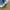 VANS 44DX ANAHEIM AUTHENTIC photo 3