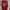Wings cross grunge graphic  photo 3