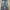 Denimitup H1 Baggy Leather - Gray photo 2