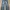 Denimitup H1 Baggy Leather - Gray photo 1