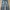 Denimitup H1 Baggy Leather - Gray