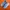 Asics novablast 4
 photo 1