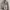 Jojo bizarre adventure x HxH Reworked wellington Jacket photo 1
