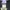 OAKLAND RAIDERS NFL JERSEY JERRY RICE photo 6