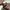 WATT Avant Garde Casual pants Pria brown photo 5