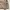 Gianni Valentino Casual Harrington jacket Pria tan brown photo 3