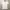 Alexander Wang Casual T-shirt Wanita white photo 1
