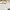 Alexander Wang Casual T-shirt Wanita white photo 2