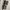Waistbag beltbag gucci kanvas good quality  photo 3