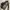 Waistbag beltbag gucci kanvas good quality  photo 2