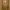 H&M Casual Fur coat Wanita yellow photo 2
