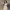 Korean Dress Flower photo 1