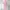 Casual Midi dress Wanita pink photo 3
