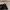 Dompet bottega veneta black leather original sale net photo 6