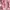top semi dress babypink floral ribbon coquette vintage y2k photo 5