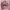 PINK LONGSLEEVE THE CUTE CAT photo 2