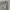 LONG BOXY SHIRT BY KAJECOMAS REWORK STUSSY photo 5