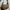 Shoulderbag gucci hobo kanvas original sale net price photo 2