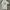 ADIDAS SPORT SHIRT END PLASTIC WASTE photo 1