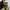 belt louis vuitton damier inventeur revirsible 2009 ori net photo 9