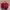 Tas Original LONGCHAMP QUADRI Medium Red Burgundy photo 2