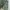Kemeja pendek katun army photo 3