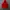 Eider Goretex Outdoor Waterproof Jacket  photo 1