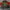 Eider Goretex Outdoor Waterproof Jacket  photo 4