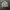 Bean Pole Denim Harrington Work Jacket  photo 1