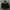 Quiksilver Puffer Jacket