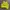 Casual Shirt Wanita yellow photo 1