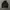 Adidas Trifoil Packable Sport Jacket  photo 6