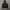 Adidas Trifoil Packable Sport Jacket  photo 1