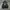 Vtg Bomber Jacket Cartoon Art photo 1