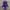 Casual Emo Swimwear Wanita purple pink photo 1