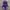 Casual Emo Swimwear Wanita Purple Pink