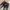 Andrew Mackenzie fading curve jeans photo 3