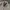 Japanese brand Casual Cardigan Pria white photo 3