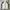 Descente Casual Sportswear Track Jacket Pria Multicolor