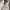 Descente Casual Sportswear Track jacket Pria multicolor photo 3