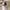 Shein turtle neck crop top long sleeve  photo 2