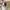 Shein Turtle Neck Crop Top Long Sleeve 