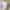 Shein Turtle Neck Crop Top Long Sleeve 